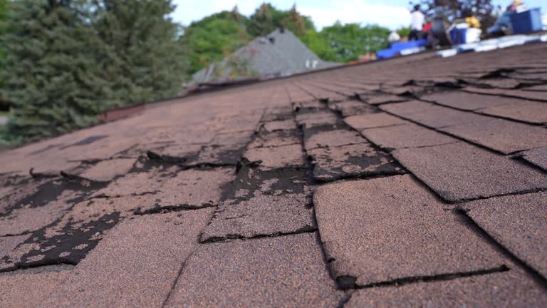 Best Sheet Metal Roofing  in Blue Jay, OH